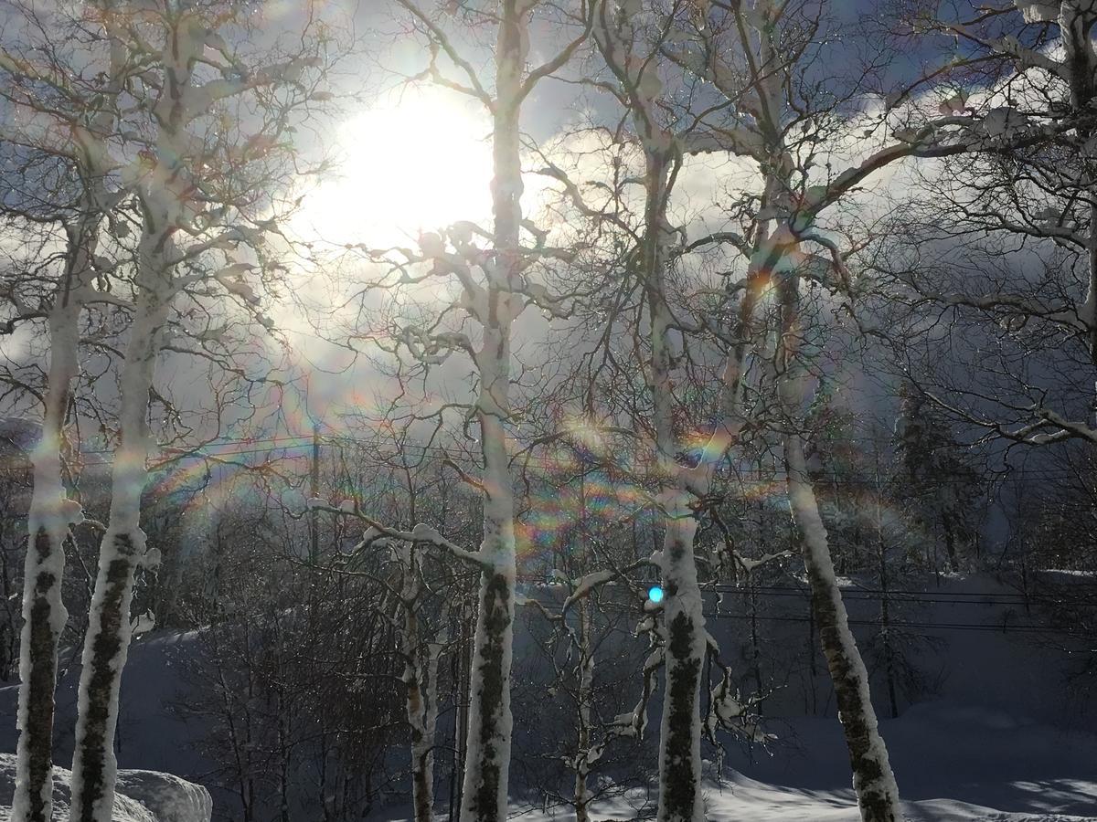 Kvamseter Lodge Eikedalen ภายนอก รูปภาพ