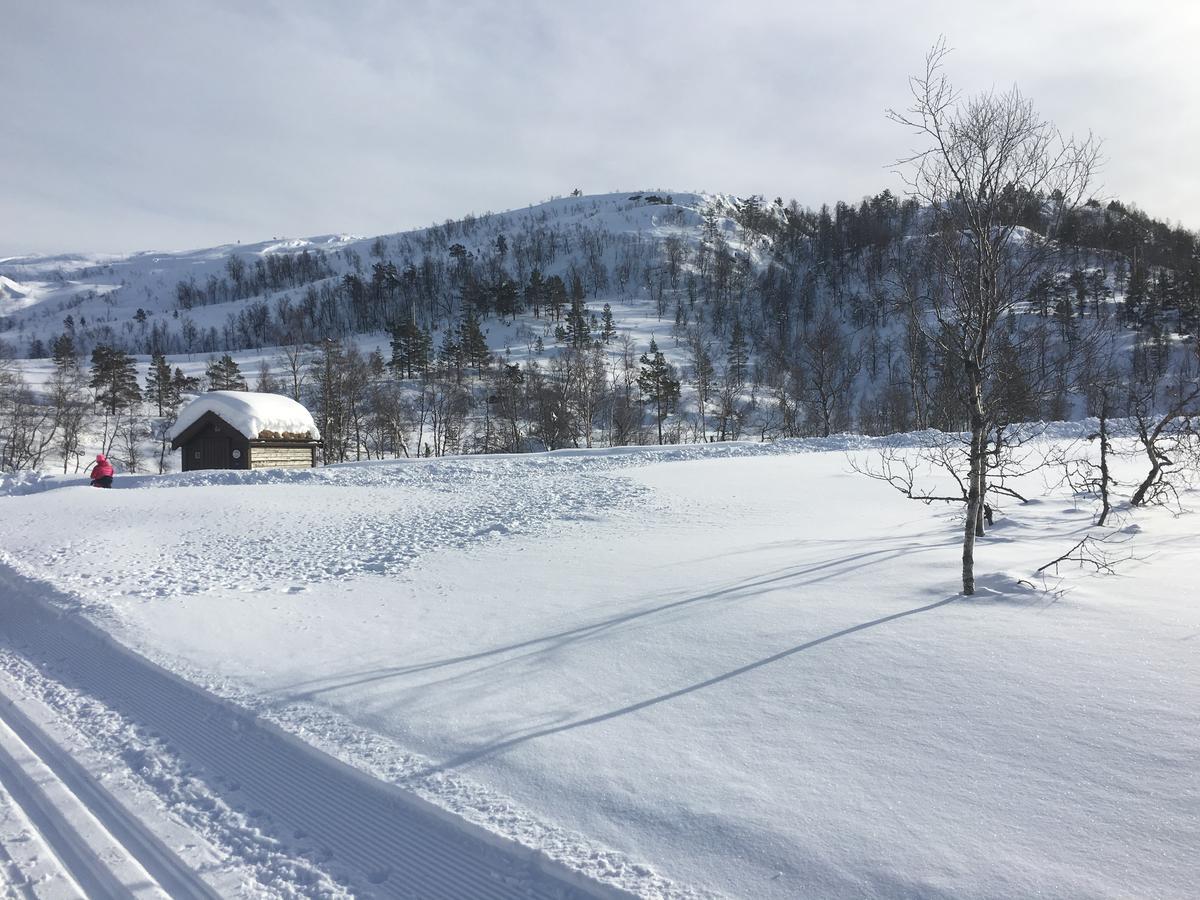 Kvamseter Lodge Eikedalen ภายนอก รูปภาพ